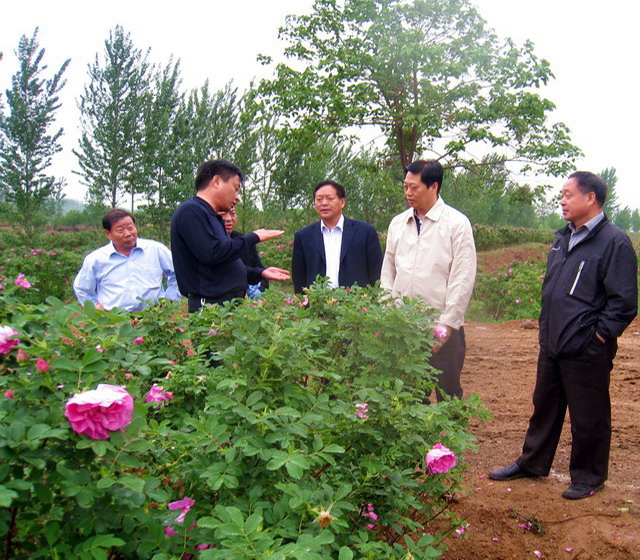 基地考察 中常温干燥技术设备;芳香类植物细胞液提取; 青岛圣永生物科技有限公司