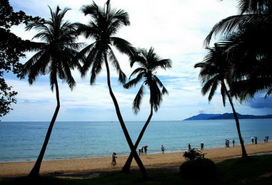 南部游 海阳;海阳旅游;海阳旅行社;海阳诚信旅行社;海阳;海阳旅行社;海阳旅游;国内旅游;国内国际机票订购;国际旅游业务接待; 海阳市启明国际旅行社有限公司